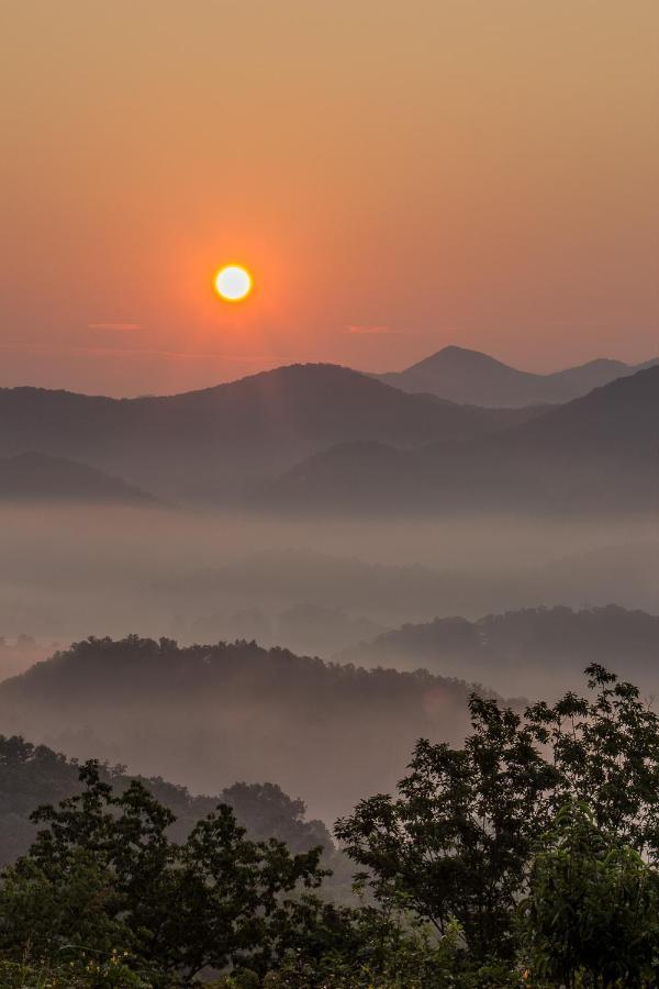 Lazy Bear Den Villa เซอเวียร์วีล ภายนอก รูปภาพ