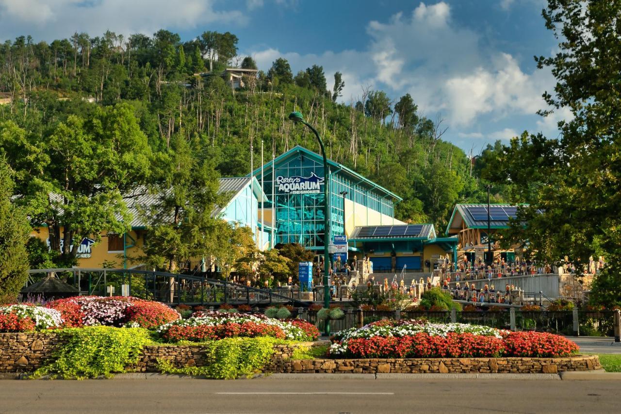 Lazy Bear Den Villa เซอเวียร์วีล ภายนอก รูปภาพ
